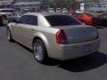 Linen Gold Metallic - 300 Touring Photo No. 2