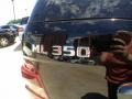 Black - ML 350 4Matic Photo No. 13