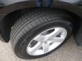 2009 Brilliant Black Crystal Pearl Dodge Charger SE  photo #5