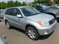 Titanium Metallic - RAV4 4WD Photo No. 1