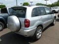 Titanium Metallic - RAV4 4WD Photo No. 2