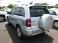 Titanium Metallic - RAV4 4WD Photo No. 3