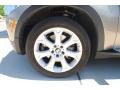 Platinum Bronze Metallic - X5 4.8i Photo No. 8