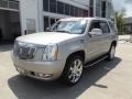 Quicksilver 2009 Cadillac Escalade 