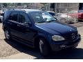Capri Blue Metallic - ML 350 4Matic Photo No. 2