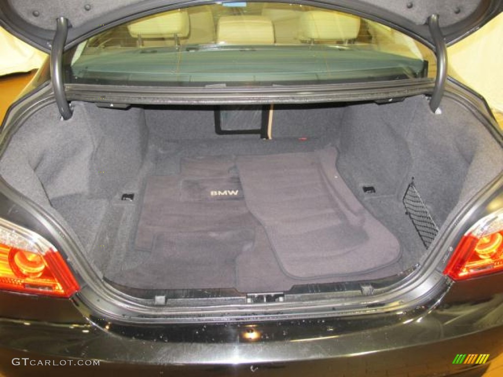 2010 BMW 5 Series 528i Sedan Trunk Photo #66743143
