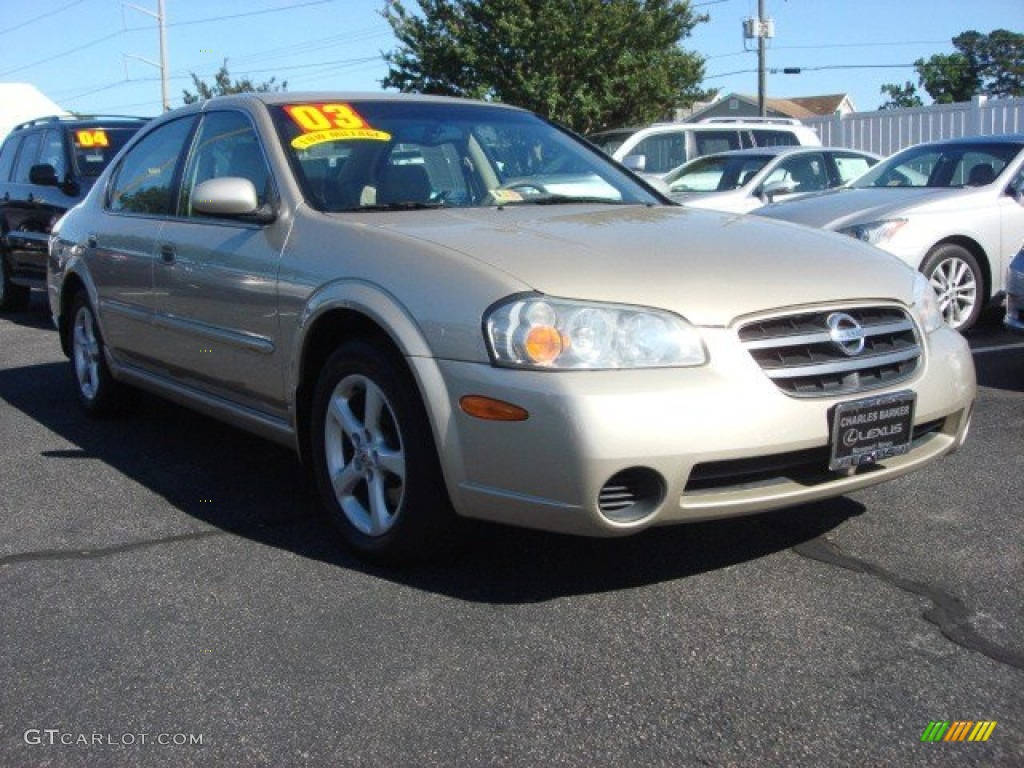 Sunlit Sand Nissan Maxima