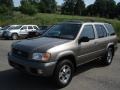 Bronzed Gray Metallic - Pathfinder SE 4x4 Photo No. 3