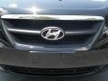 Ebony Black - Sonata GLS Photo No. 5