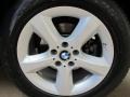 Titanium Silver Metallic - X5 3.0si Photo No. 16