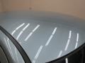 Magnesium Pearlcoat - Charger R/T Photo No. 9