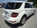 Arctic White - ML 350 4Matic Photo No. 6