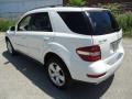 Arctic White - ML 350 4Matic Photo No. 8