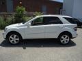 Arctic White - ML 350 4Matic Photo No. 9