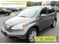 2009 Urban Titanium Metallic Honda CR-V EX-L  photo #1