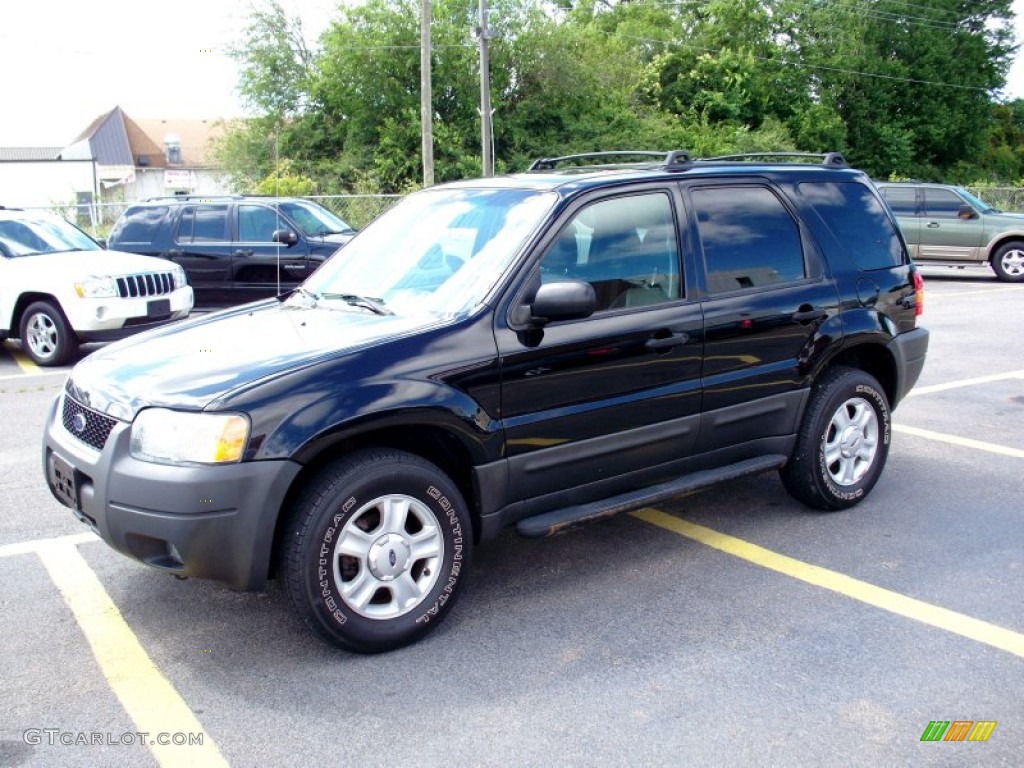 Black Clearcoat Ford Escape