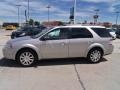 Silver Birch Metallic - Taurus X Limited AWD Photo No. 6