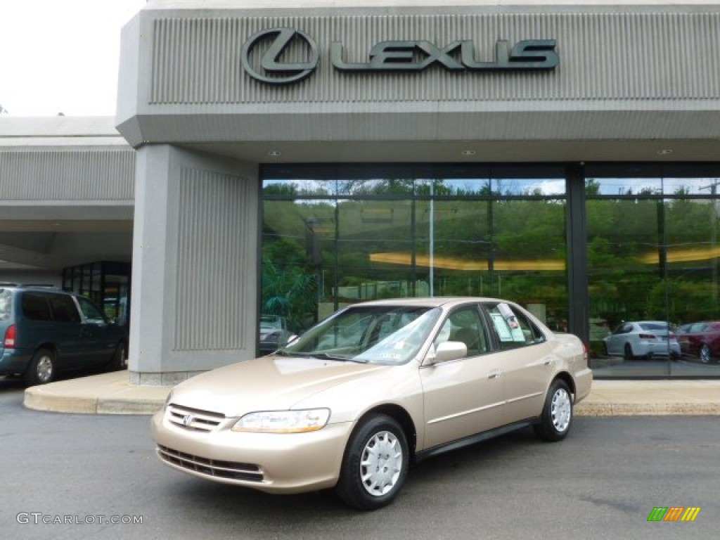 2002 Accord LX Sedan - Naples Gold Metallic / Ivory photo #1