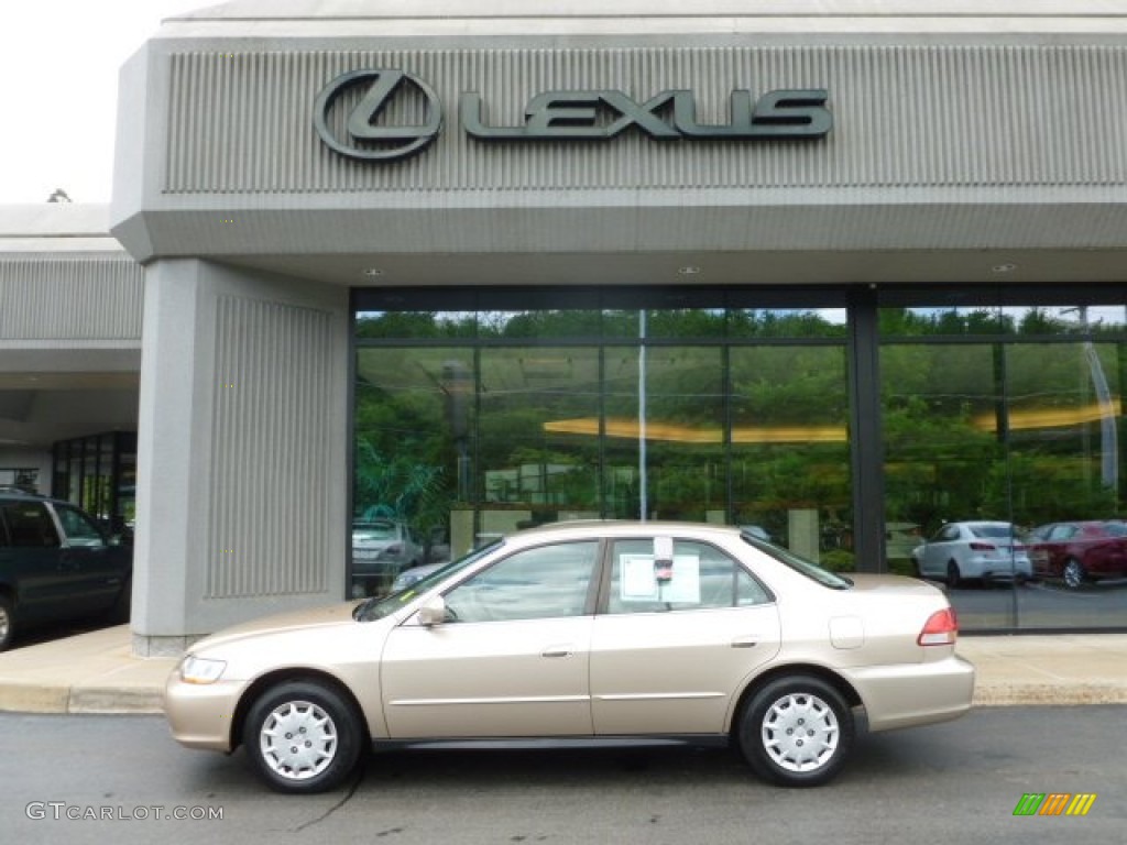 2002 Accord LX Sedan - Naples Gold Metallic / Ivory photo #2