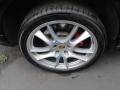 2008 Porsche Cayenne Turbo Wheel and Tire Photo