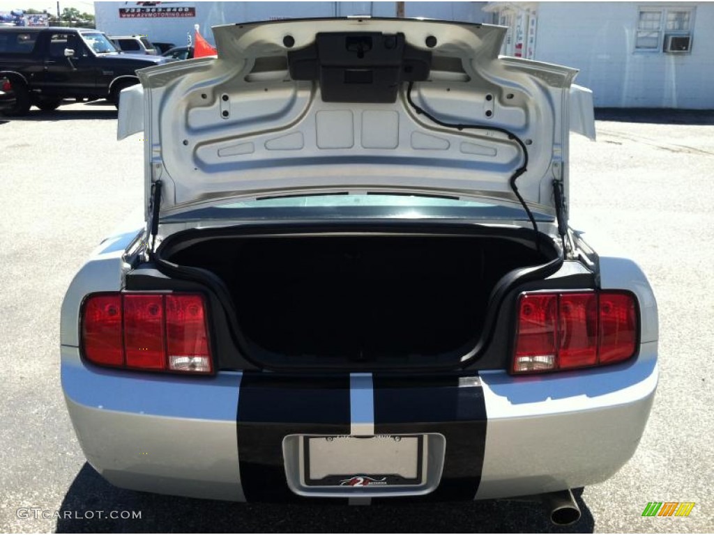 2005 Mustang V6 Premium Coupe - Satin Silver Metallic / Light Graphite photo #13