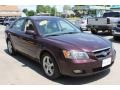 Dark Cinnamon - Sonata GLS V6 Photo No. 1