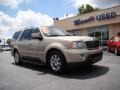 2004 Light French Silk Metallic Lincoln Navigator Luxury  photo #2