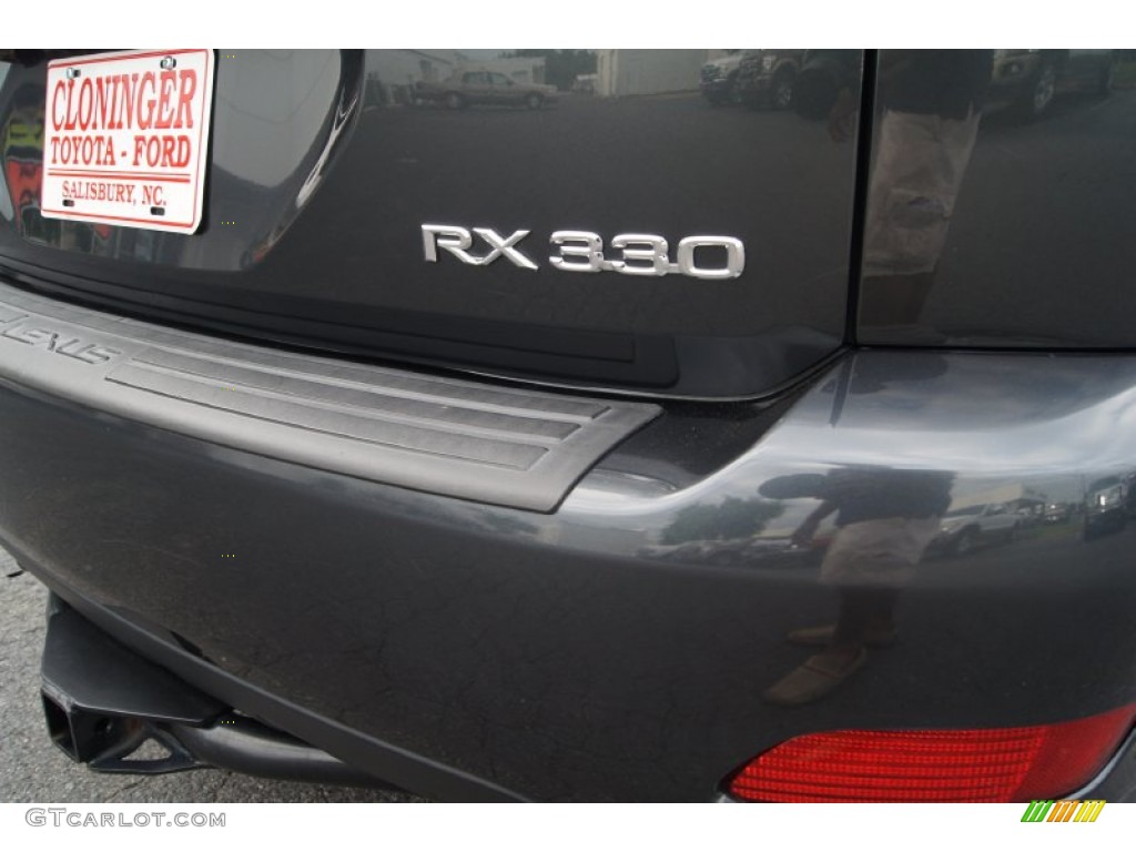 2005 RX 330 AWD Thundercloud Edition - Flint Gray Mica / Light Gray photo #19