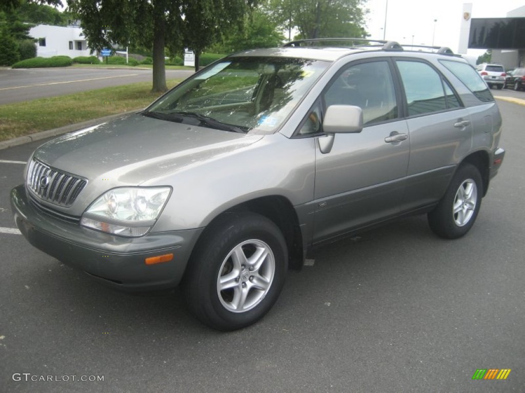 2001 RX 300 AWD - Burnished Gold Metallic / Ivory photo #1