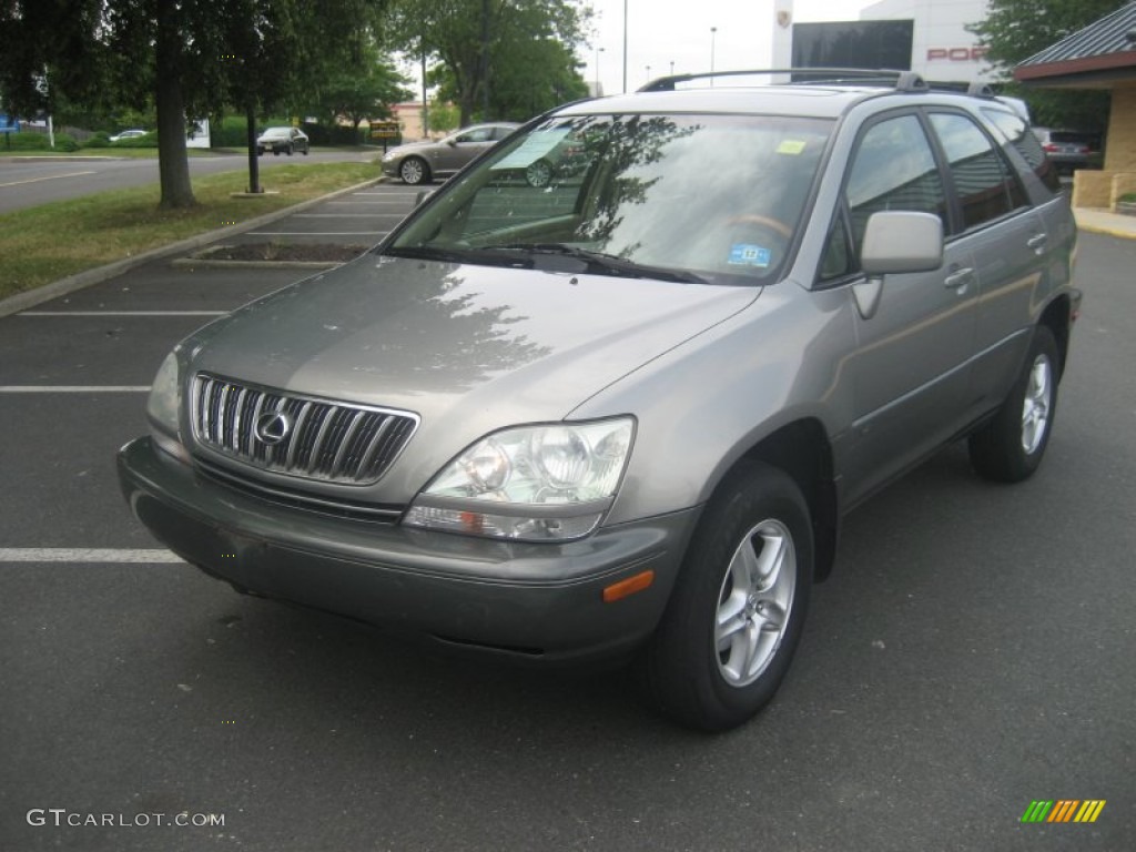 2001 RX 300 AWD - Burnished Gold Metallic / Ivory photo #2