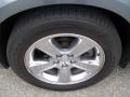 Silver Steel Metallic - Charger R/T Photo No. 9