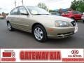 2006 Champagne Beige Hyundai Elantra GLS Sedan  photo #1