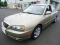 2006 Champagne Beige Hyundai Elantra GLS Sedan  photo #2