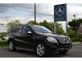 Black - ML 350 4Matic Photo No. 1