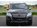 Black - ML 350 4Matic Photo No. 2