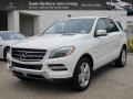 Arctic White - ML 350 4Matic Photo No. 1