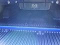 Electric Blue - Raider LS Extended Cab Photo No. 12