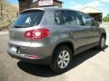 Alpine Grey Metallic - Tiguan S Photo No. 2