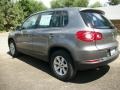 Alpine Grey Metallic - Tiguan S Photo No. 4