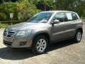 Alpine Grey Metallic - Tiguan S Photo No. 5
