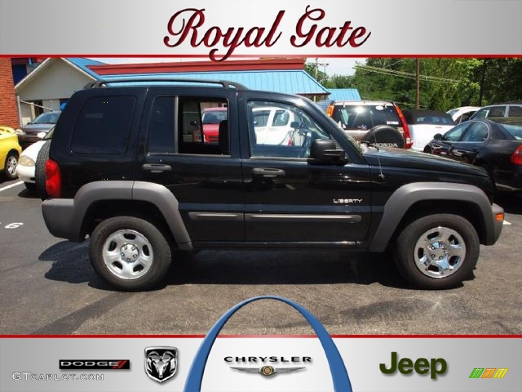Black Clearcoat Jeep Liberty