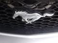 2005 Satin Silver Metallic Ford Mustang V6 Deluxe Coupe  photo #20