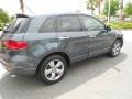 Carbon Gray Pearl - RDX Technology Photo No. 7