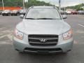 Platinum Sage - Santa Fe GLS 4WD Photo No. 4