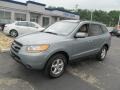 Platinum Sage - Santa Fe GLS 4WD Photo No. 5