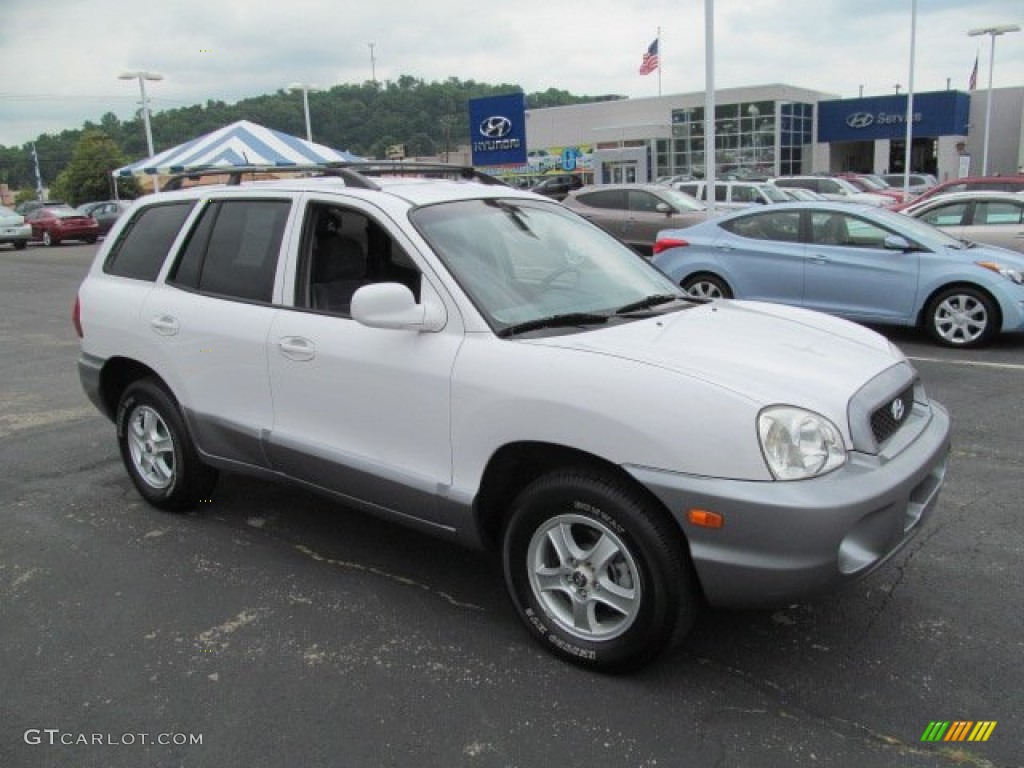 2004 Santa Fe GLS - Nordic White / Gray photo #1