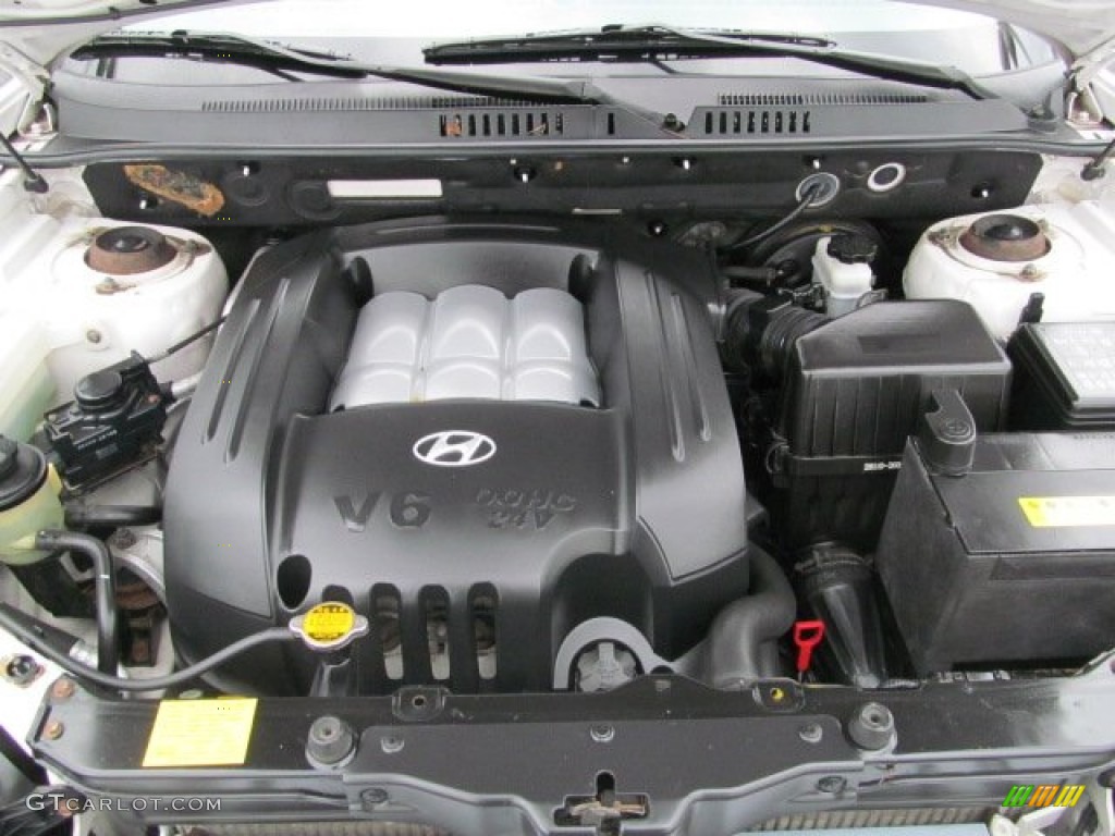 2004 Hyundai Santa Fe GLS 2.7 Liter DOHC 24-Valve V6 Engine Photo #66803566