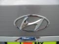 2012 Titanium Gray Metallic Hyundai Genesis 3.8 Sedan  photo #13