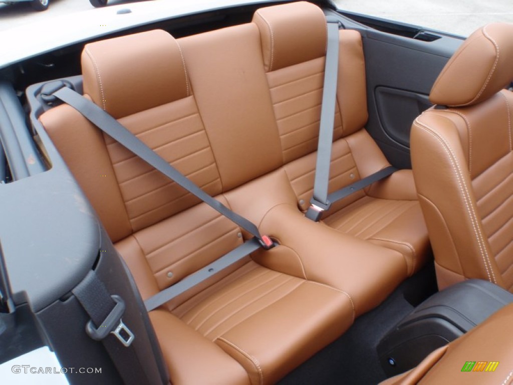 Saddle Interior 2010 Ford Mustang V6 Premium Convertible Photo #66821604