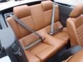 Saddle Rear Seat Photo for 2010 Ford Mustang #66821604